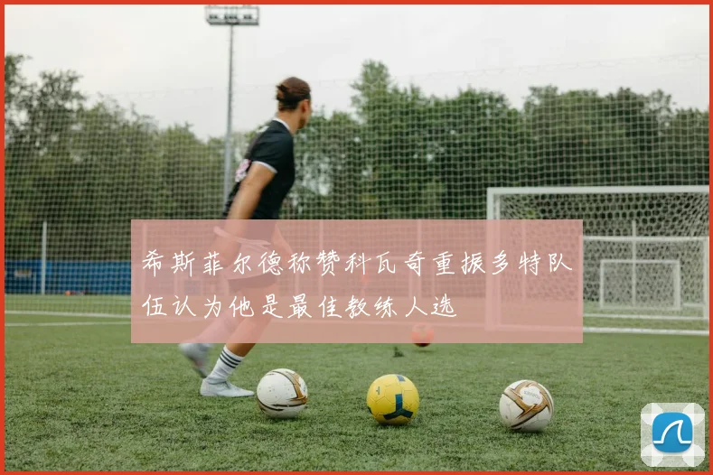 希斯菲尔德称赞科瓦奇重振多特队伍认为他是最佳教练人选
