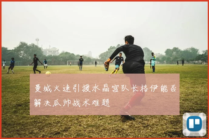 曼城火速引援水晶宫队长格伊能否解决瓜帅战术难题