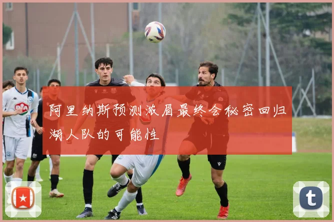 阿里纳斯预测浓眉最终会秘密回归湖人队的可能性